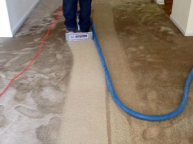 Carpet Cook's Carpet Maintenance